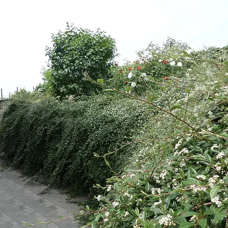 La Casa Blu Montegrosso dʼAsti